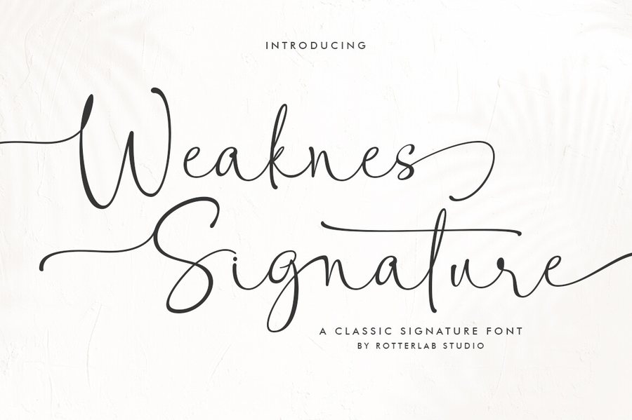 Weaknes Signature slender cursive handwriting font sample